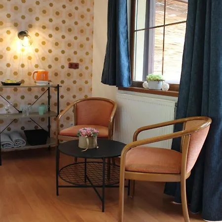 Lesni Lazne Hotel 3*